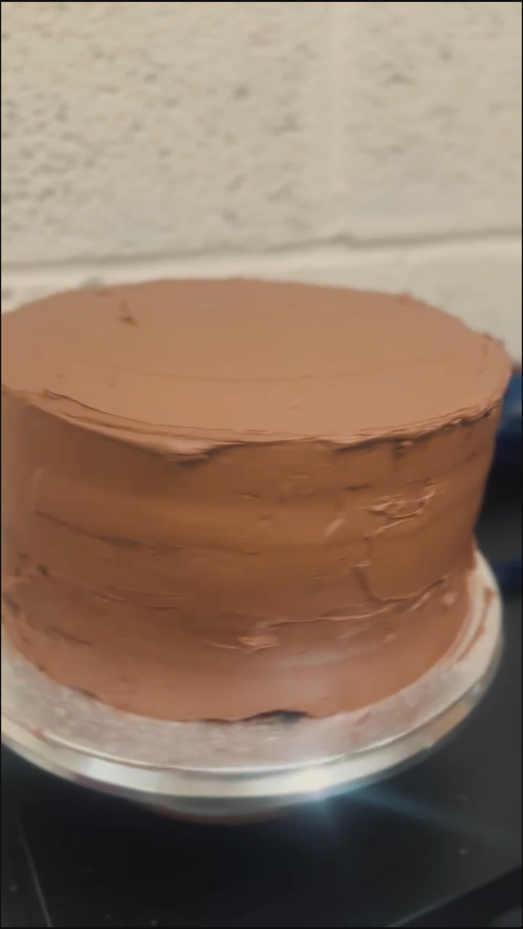 Chocolate Winter Wonderland Cake
