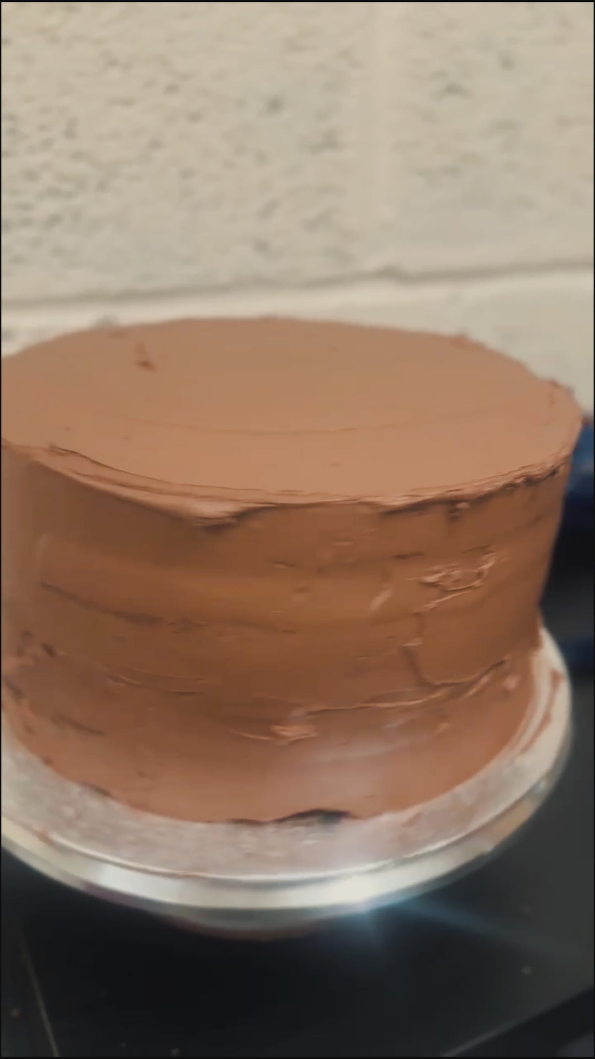 Chocolate Winter Wonderland Cake